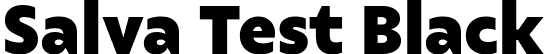 Salva Test Black font - SalvaTest-Black.ttf