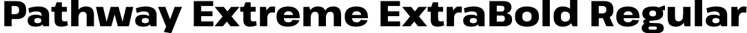 Pathway Extreme ExtraBold Regular font - PathwayExtreme_14pt-ExtraBold.ttf