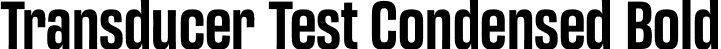 Transducer Test Condensed Bold font - TransducerTest-CondensedBold.otf