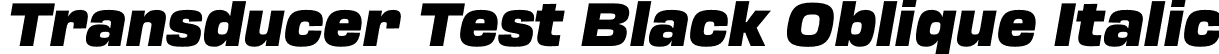 Transducer Test Black Oblique Italic font - TransducerTest-BlackOblique.otf