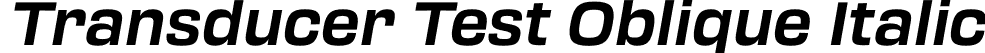 Transducer Test Oblique Italic font - TransducerTest-BoldOblique.otf