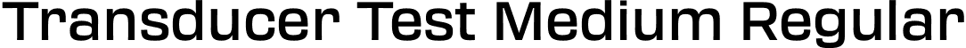 Transducer Test Medium Regular font - TransducerTest-Medium.otf