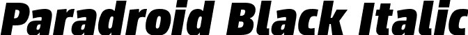 Paradroid Black Italic font - Paradroid-BlackItalic.otf