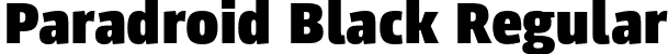 Paradroid Black Regular font - Paradroid-Black.otf