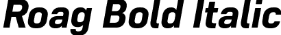 Roag Bold Italic font - Roag-BoldItalic.otf