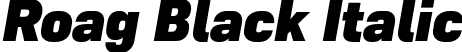 Roag Black Italic font - Roag-BlackItalic.otf