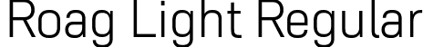 Roag Light Regular font - Roag-Light.otf