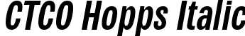 CTCO Hopps Italic font - ctcohopps-regitalic.otf