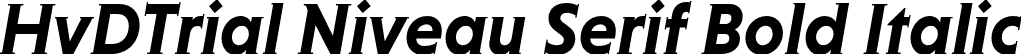 HvDTrial Niveau Serif Bold Italic font - HvDTrial_NiveauSerifBold-Italic.otf
