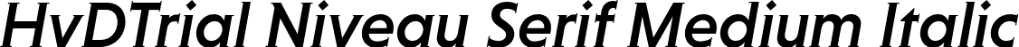 HvDTrial Niveau Serif Medium Italic font - HvDTrial_NiveauSerifMedium-Italic.otf