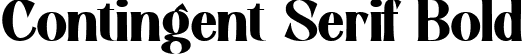 Contingent Serif Bold font - Contingent-Serif-Bold.ttf