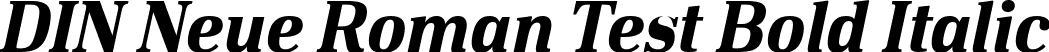 DIN Neue Roman Test Bold Italic font - DINNeueRoman-Test-Bold-Italic.ttf
