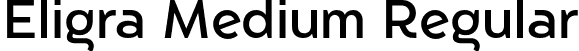 Eligra Medium Regular font - eligra-medium.otf