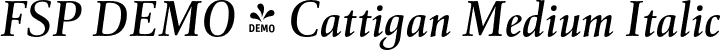 FSP DEMO - Cattigan Medium Italic font - Fontspring-DEMO-cattigan-mediumitalic.otf