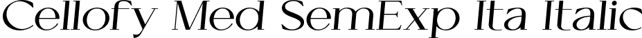 Cellofy Med SemExp Ita Italic font - CellofyMedsemexpita-gx794.otf