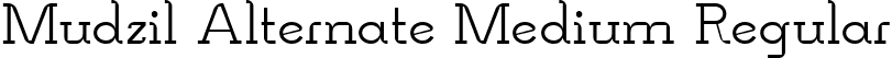 Mudzil Alternate Medium Regular font - Mudzil-Alternate-Medium.ttf