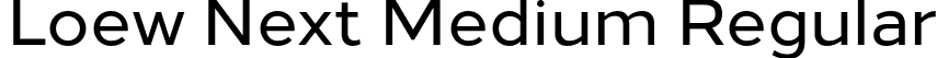 Loew Next Medium Regular font - LoewNext-Medium.otf