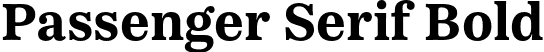 Passenger Serif Bold font - PassengerSerif-Bold-BF63f2cd0f9029b.otf