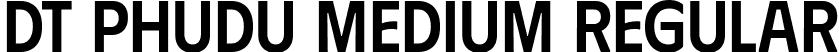 DT Phudu Medium Regular font - DTPhudu-Medium.ttf