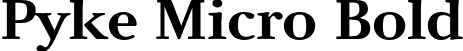 Pyke Micro Bold font - PykeMicro-Bold.otf
