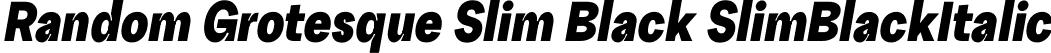 Random Grotesque Slim Black SlimBlackItalic font - RG-SlimBlackItalic.ttf