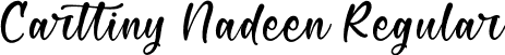 Carttiny Nadeen Regular font - Carttiny-Nadeen.otf