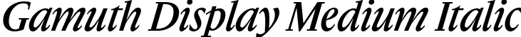 Gamuth Display Medium Italic font - gamuthdisplay-mediumitalic-TRIAL.otf