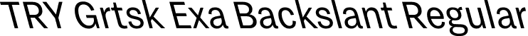 TRY Grtsk Exa Backslant Regular font - TRYGrtsk-ExaBackslant.ttf