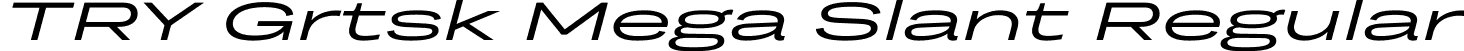 TRY Grtsk Mega Slant Regular font - TRYGrtsk-MegaSlant.ttf