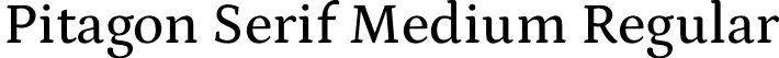 Pitagon Serif Medium Regular font - PitagonSerif-Medium.otf