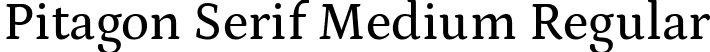 Pitagon Serif Medium Regular font - PitagonSerif-Medium.ttf