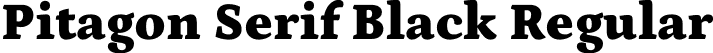 Pitagon Serif Black Regular font - PitagonSerif-Black.otf