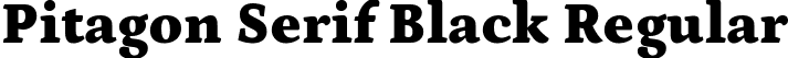 Pitagon Serif Black Regular font - PitagonSerif-Black.ttf