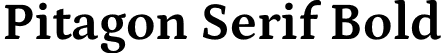 Pitagon Serif Bold font - PitagonSerif-Bold.otf
