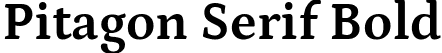 Pitagon Serif Bold font - PitagonSerif-Bold.ttf