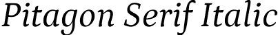 Pitagon Serif Italic font - PitagonSerif-Italicwght.ttf