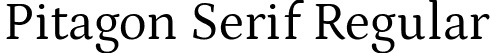 Pitagon Serif Regular font - PitagonSerif-Regular.ttf