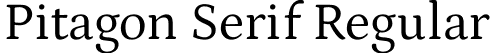 Pitagon Serif Regular font - PitagonSerifwght.ttf