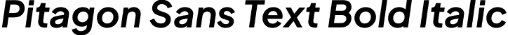 Pitagon Sans Text Bold Italic font - PitagonSansText-BoldItalic.otf