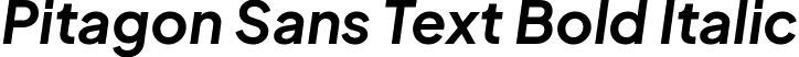 Pitagon Sans Text Bold Italic font - PitagonSansText-BoldItalic.ttf