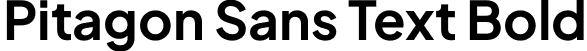 Pitagon Sans Text Bold font - PitagonSansText-Bold.otf
