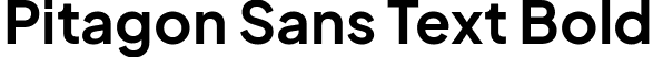 Pitagon Sans Text Bold font - PitagonSansText-Bold.ttf