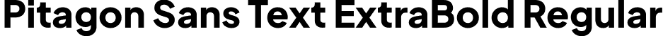 Pitagon Sans Text ExtraBold Regular font - PitagonSansText-ExtraBold.ttf