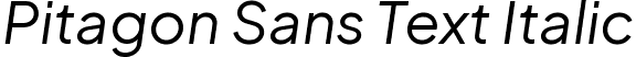 Pitagon Sans Text Italic font - PitagonSansText-Italic.ttf