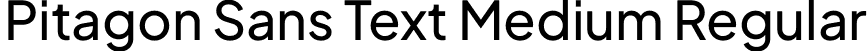 Pitagon Sans Text Medium Regular font - PitagonSansText-Medium.otf