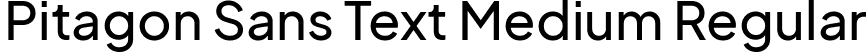 Pitagon Sans Text Medium Regular font - PitagonSansText-Medium.ttf