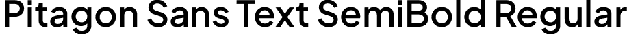Pitagon Sans Text SemiBold Regular font - PitagonSansText-SemiBold.otf