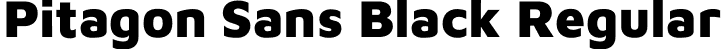 Pitagon Sans Black Regular font - PitagonSans-Black.otf