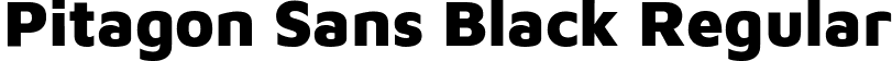 Pitagon Sans Black Regular font - PitagonSans-Black.ttf