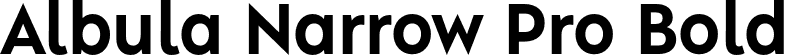 Albula Narrow Pro Bold font - AlbulaNarrowPro-Bold.otf
